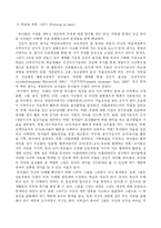 [유아교육]레지오에밀리아접근법-5