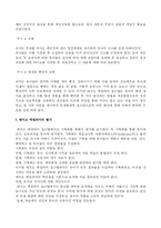 [유아교육]레지오에밀리아접근법-12