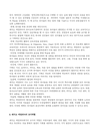 [유아교육]레지오에밀리아접근법-13