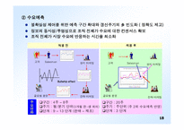 삼성전자에서의 IT와 프로세스 혁신-19