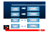 CGV의 성공 마케팅 전략 발표자료-6