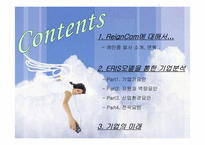 [기업성공요인분석]레인콤 성공사례 분석-2