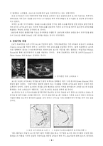 도시재개발 사례-9