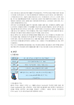 펩시콜라의 마케팅 전략 분석-3