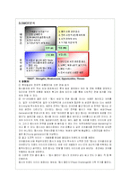 펩시콜라의 마케팅 전략 분석-12