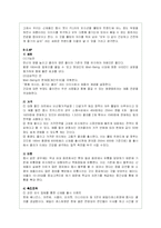 펩시콜라의 마케팅 전략 분석-17