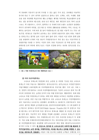 고속도로 휴게소의 관광지화 방안 복합휴게소 중심-7
