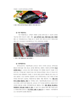 고속도로 휴게소의 관광지화 방안 복합휴게소 중심-8