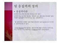 팀 응집력-2