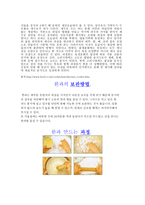 한국의 과자 한과-2