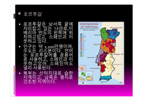 와인과 음료 관리 포르투갈 와인-2