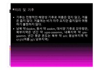 와인과 음료 관리 포르투갈 와인-4