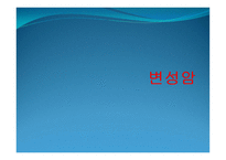 변성암 보고서-1
