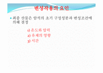 변성암 보고서-3