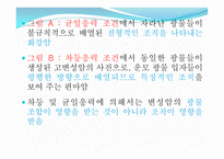 변성암 보고서-7