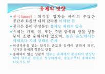 변성암 보고서-8