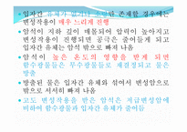 변성암 보고서-9