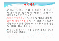 변성암 보고서-11