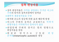 변성암 보고서-12