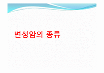 변성암 보고서-17