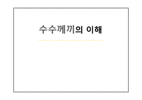 수수께끼의 이해-1