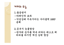 커피와 카페 조사-5