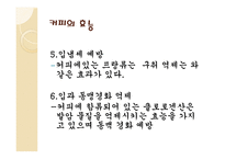 커피와 카페 조사-7