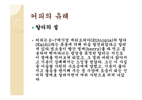 커피와 카페 조사-9