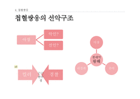 홍콩 누아르-20