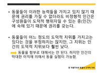 동물의 권리 보고서-9