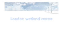 London wetland centre-1