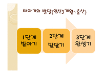 인간 행동과 사회환경 태내기와 영아기-2