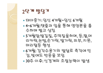 인간 행동과 사회환경 태내기와 영아기-4
