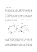 유아기의 지각 발달-4