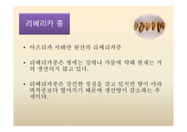 커피의 3대 품종과 효능-10