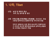 세계화와 한국의 선택 티베트 독립-14