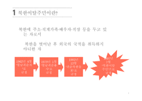 사회 문제론 북한이탈주민 문제-4