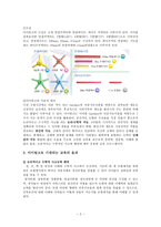 에듀테인먼트 개발론 끼워 맞추는 영재 창의력 아이링크-2