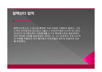 알렉산더 대왕-16