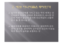 에코 아나키즘 -4