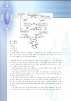 공적자금의 슬픈 진실-3