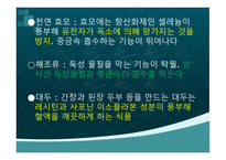 웰빙 웰빙의 정의 웰빙의 장단점-17