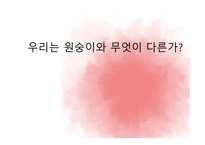 우리는 원숭이와 무엇이 다른가-1