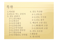 시화 창의 고향 진도-2