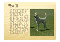 시화 창의 고향 진도-12