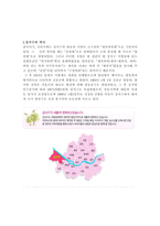 서울시 강서구 탐구조사보고서-1