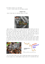 영상 콘텐츠를 주체적으로 보기 위한 방법론 진실과의 도-1