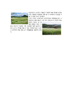 메밀 박물관 체험코스-4