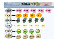 떡 프로젝트-13