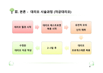 대리모의 실태와 사회적인 요인과 문제-9